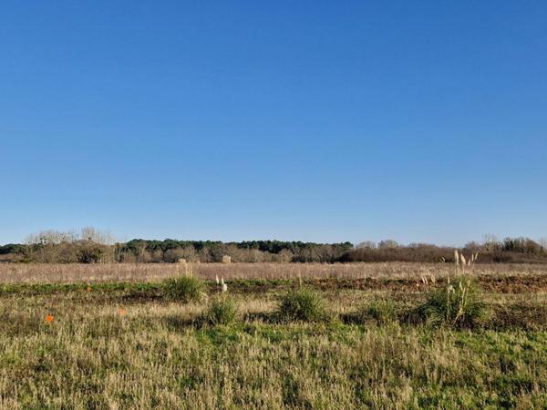 Lotissement Les Lavandières - Terrains à vendre à Riantec
