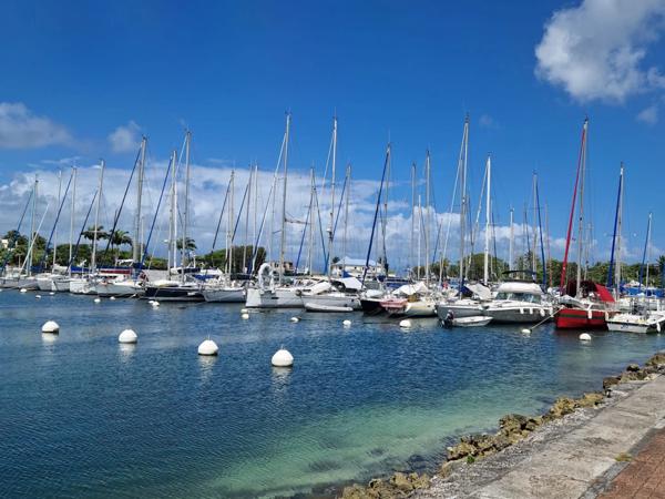 2 pièces meublé, charges comprises - La Marina - LE GOSIER (971)