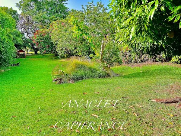 ❤️COUP DE CŒUR❤️ À vendre – Villa contemporaine avec piscine à débordement, vue mer et dépendance locative 97222 CASE-PILOTE