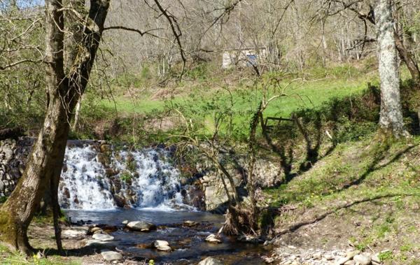 Vente Maison Ancienne métairie sur 7 - 7 ha Saint-pons-de-thomieres   
