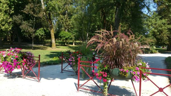 STUDIO à vendre 1 pièce CONTREXEVILLE (88) face THERME & PARC