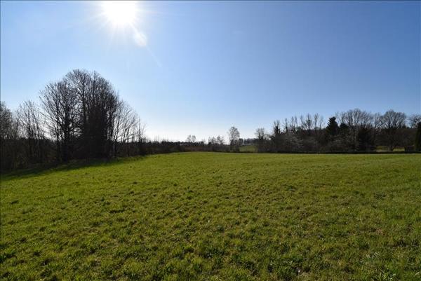 Terrain à vendre |  Saint-Sornin-Lavolps |  12800 m²