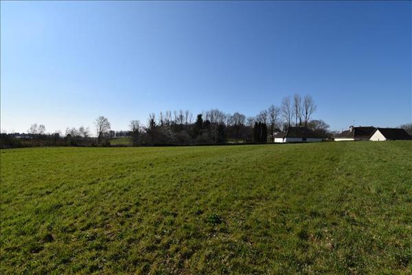 Terrain à vendre |  Saint-Sornin-Lavolps |  12800 m²