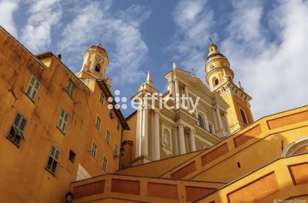 Appartement 1 pièce - 22 m² Exclusivité efficity