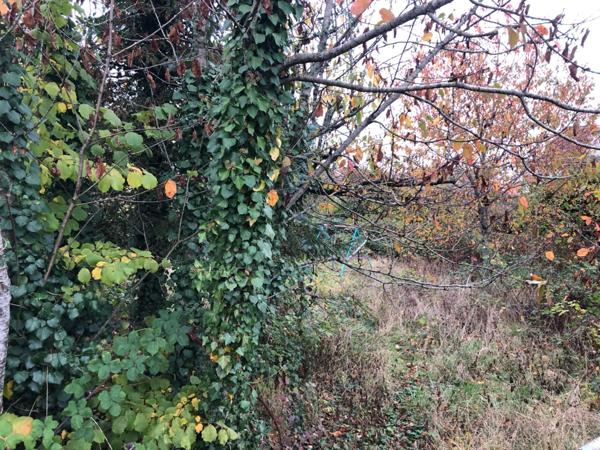 Terrain à vendre 9 ares LONGWY (54)