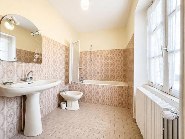 Maison à 5 min de Levroux 9 pièce(s) 290 m2