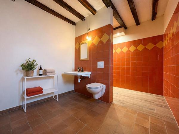 Maison à 5 min de Levroux 9 pièce(s) 290 m2