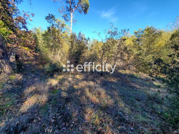 Terrain - 2567 m² Exclusivité efficity