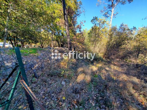 Terrain - 2567 m² Exclusivité efficity
