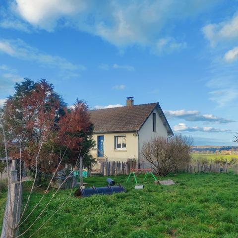 Ensemble immobilier et élevage canin equipé