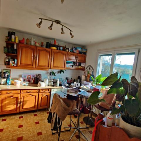 Ensemble immobilier et élevage canin equipé