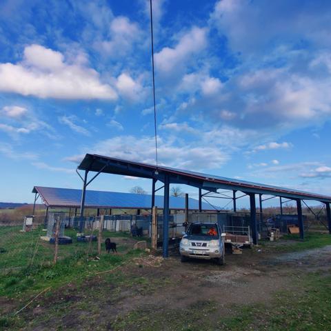 Ensemble immobilier et élevage canin equipé