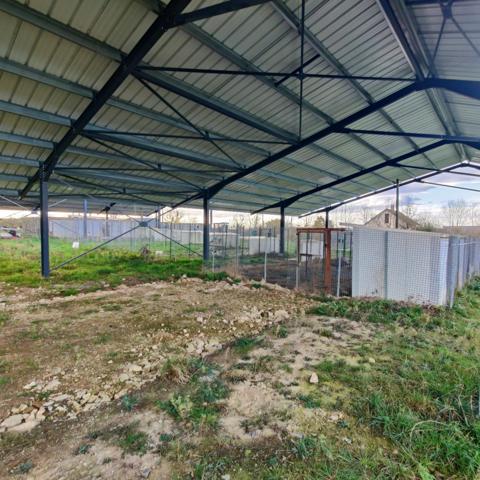 Ensemble immobilier et élevage canin equipé