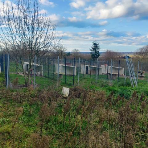 Ensemble immobilier et élevage canin equipé