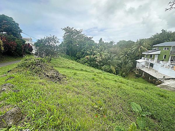 Vente de terrain au Lorrain