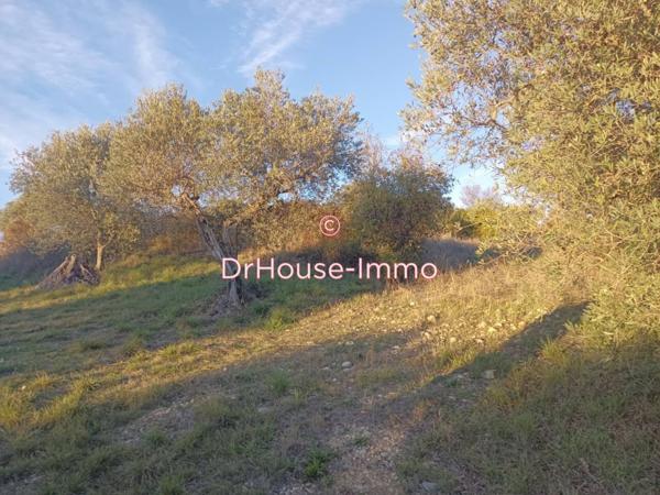 Terrain à vendre de 11 290 m²