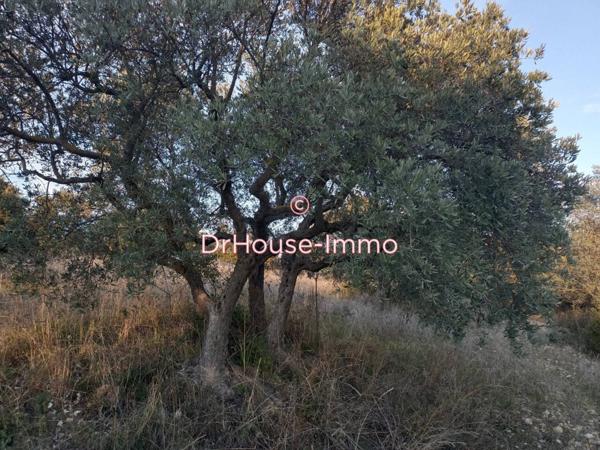 Terrain à vendre de 11 290 m²