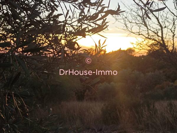 Terrain à vendre de 11 290 m²