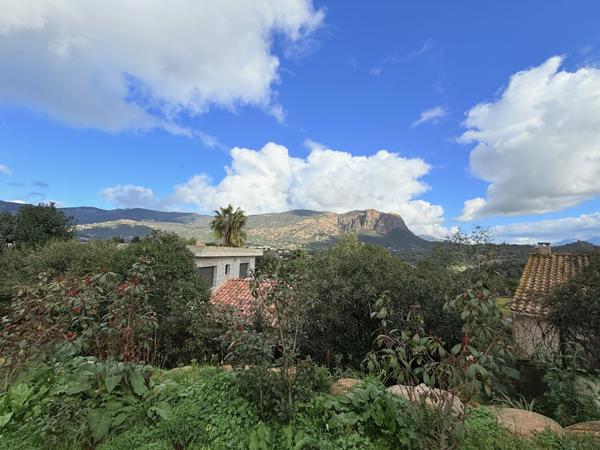 Alata (20167) Maison T3 plus appartement T2 à Alata