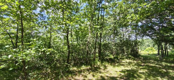 Vends terrain constructible au calme de 1428 m2. Entre vue et forêt, à moins de 20 minutes de Montauban et 30 minutes de Gaillac, proche de toutes commodités (3minutes de Monclar de Quercy) ce terrain vous offrira un lieu reposant et très agréable.
A visiter sans tarder !

PRIX H.A.I. : 35000 €

Contactez votre conseiller BSK Immobilier :
PIERLOT Corentin - Agent commercial immatriculé au RSAC d'Albi sous le numéro 521641936.

INFORMATIONS ET VISITES : 0621220824