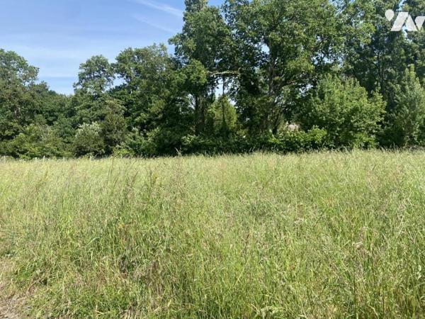 Terrain centre de Besne (1km)