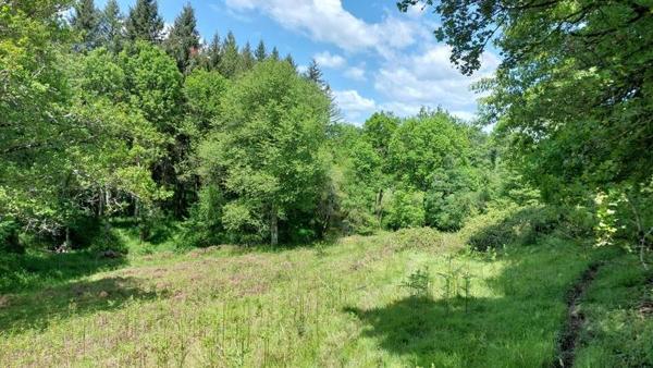 Maison à vendre |  Lussac-les-Églises |  7 pièces | 143 m²