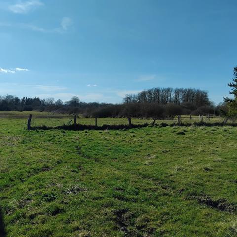 Maison à rénover sur 7000m2 de terrain