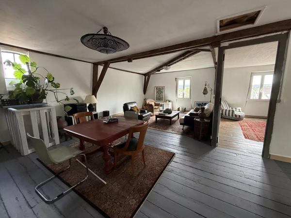 Grande maison familiale avec local commercial