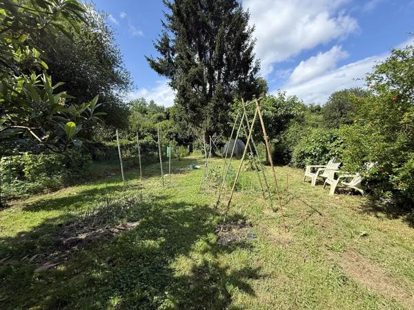 Grande maison familiale avec local commercial