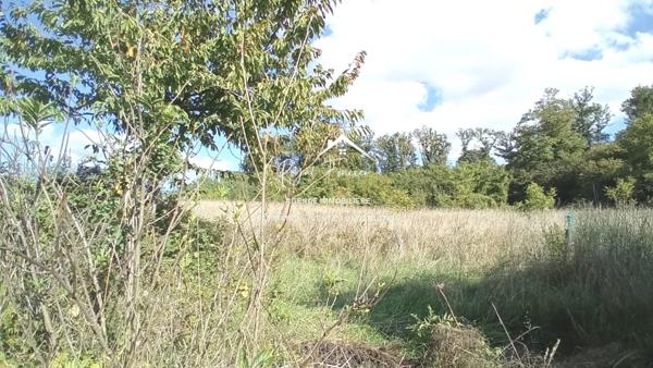 Vue imprenable sur la campagne