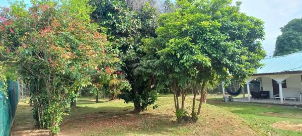 Maison avec travaux à vendre: 4 pièces (973)