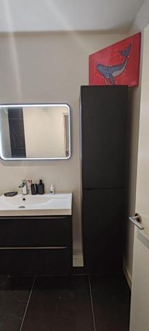 Perpignan Centre Ville  Quai  Vauban  . Appartement de standing de 46.50 m2  avec  terrasse