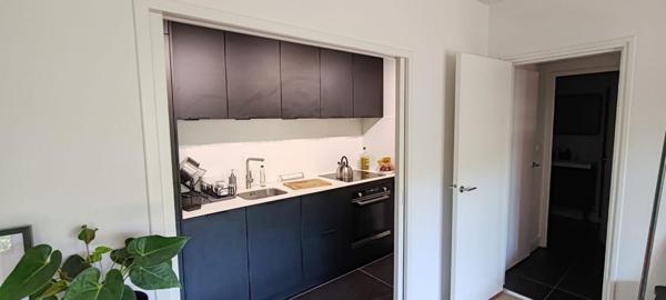 Perpignan Centre Ville  Quai  Vauban  . Appartement de standing de 46.50 m2  avec  terrasse