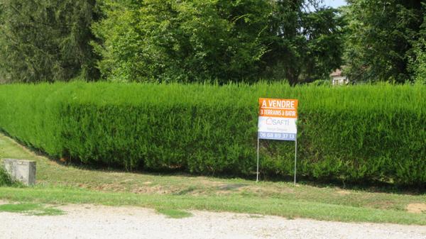 TERRAIN A BATIR ARBORE