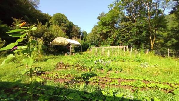 Maison à vendre |  Laval-de-Cère |  10 pièces | 171 m²