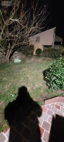Location - Maison Mauges-sur-Loire 49110 2 pièces 47 m 2 50 m 2