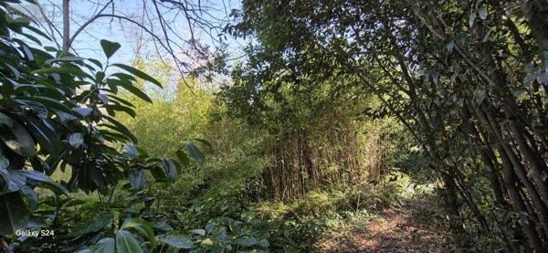 Terrain à Batir à vendre à Candé dans le Maine-et-Loire (49440), ref : 49095-1565