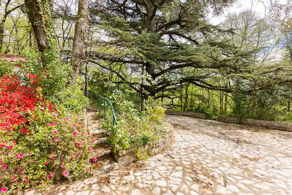 Belle bâtisse en pierre au coeur d’un parc arboré avec piscine