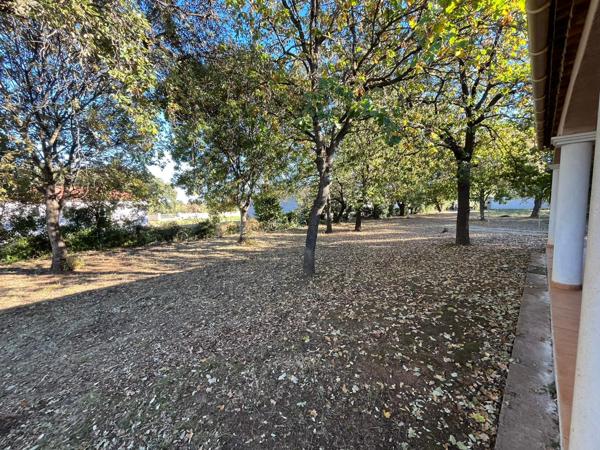 Sorbo-Ocagnano (20213) Maison T3 meublée – 96 m² – Sorbo-Ocagnano (Plaine)