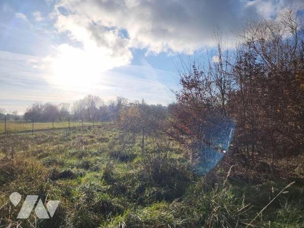 À vendre - Terrain de loisirs à Laferté-sur-Aube.
À seulement 5 minutes de Ville-sous-la-Ferté...