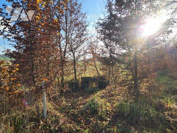 À vendre - Terrain de loisirs à Laferté-sur-Aube.
À seulement 5 minutes de Ville-sous-la-Ferté...