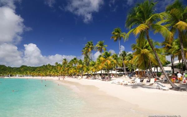 Appartement à vendre    2 pièces • 46 m2 Sainte-Anne