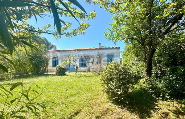 Maison charentaise rénovée - Beau terrain arboré.
