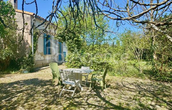 Maison charentaise rénovée - Beau terrain arboré.