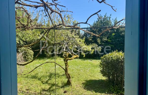 Maison charentaise rénovée - Beau terrain arboré.