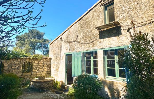 Maison charentaise rénovée - Beau terrain arboré.