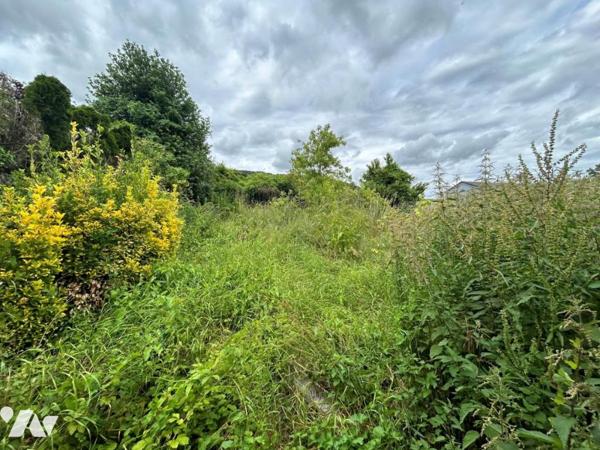 Vente Maison à Festigny