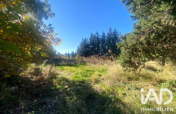Terrain à vendre 2 430 m² Quarante