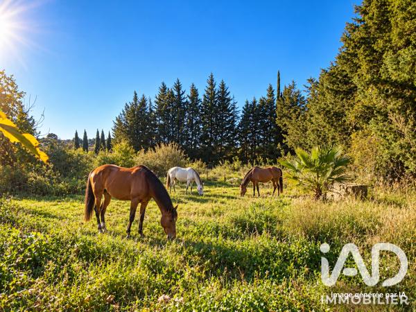 Terrain à vendre 2 430 m² Quarante