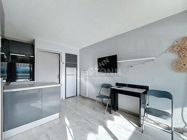 Port Camargue secteur Plage Sud agréable Studio cabine avec terrasse